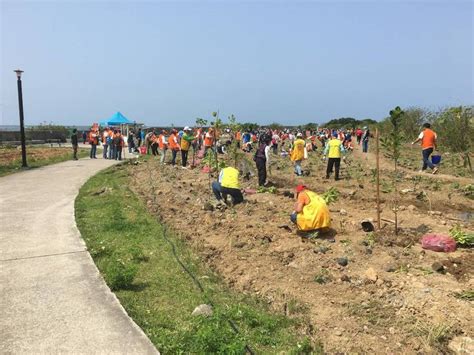 哪裡可以種樹|哪裡可以種樹？ 「臺灣好植地」告訴你哪裡缺「綠」